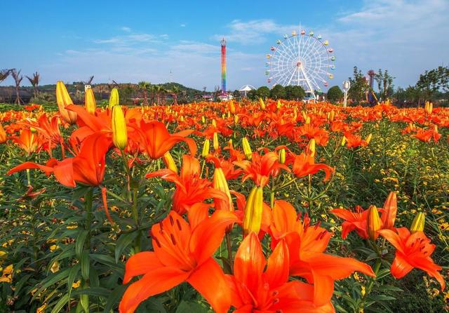 四川省绵阳市4A、5A级旅游景区名录，喜欢的收藏