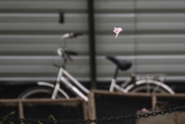 风铃飘落