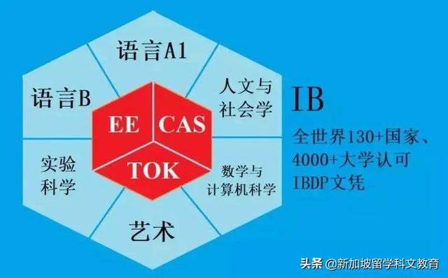 新加坡留学｜出国读高中，该选IB还是A水准？