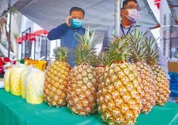农产外销的谎言被一一戳破，蔡当局的“新南向”这些年都干了啥？