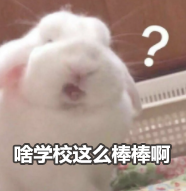 心动的感觉！这所面朝大海的人气学校秋季入学开放日即将开启，手慢无