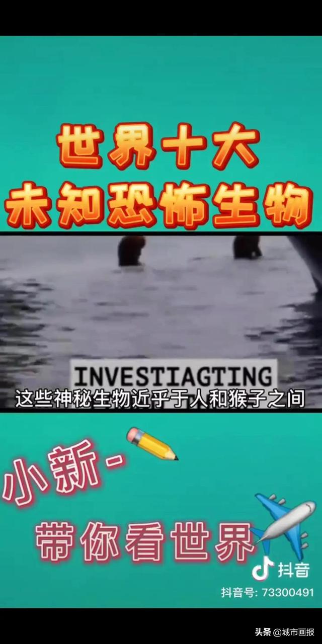 哈哈哈哈哈哈这是全互联网最好笑的动物