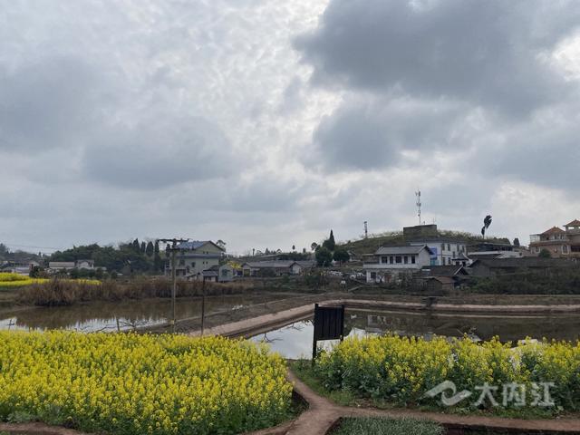 乡村振兴｜狠抓产业兴农，东兴区这个村获评省级示范