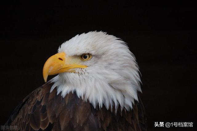 “中国是不受欢迎的国家？”连美国人都不同意了