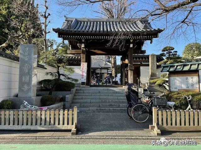 ​日本人社区里的墓地，墓地旁的社区