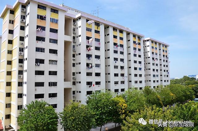 单身者可以在独自申请新加坡组屋了