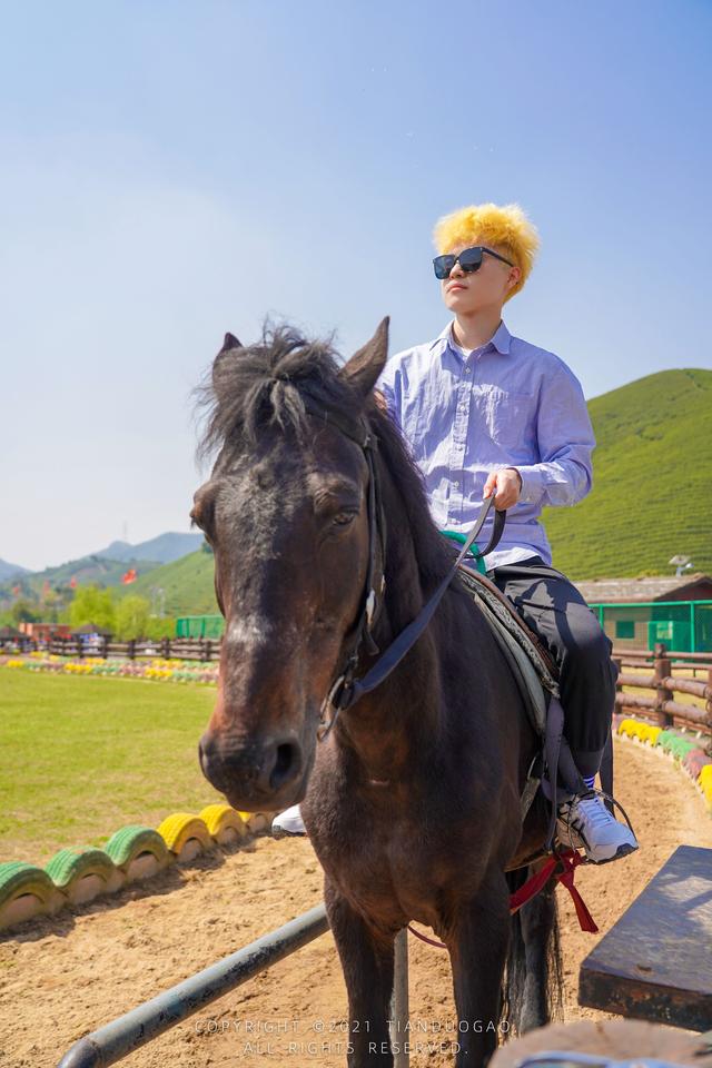 浙江湖州旅行攻略：假装在国外和长颈鹿共进早餐