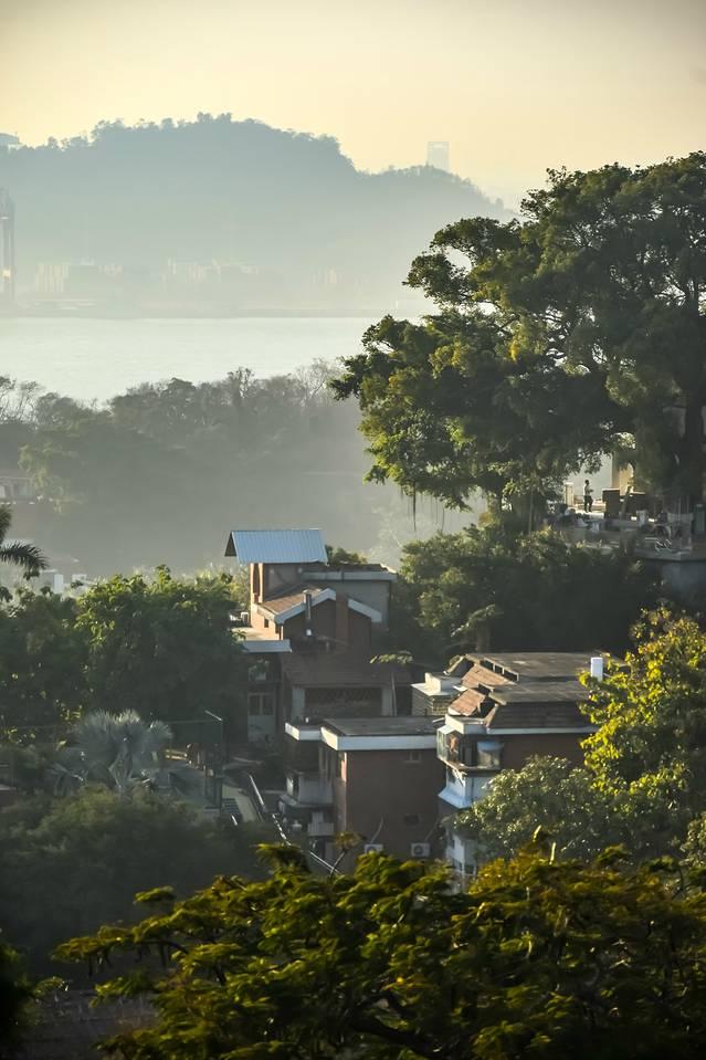 奔赴网红鹭岛，赴一场“世纪约会”｜厦门土著游记