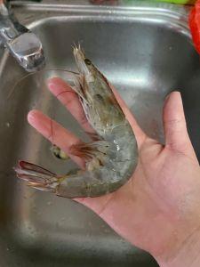 没想到，这家店新加坡也有了！