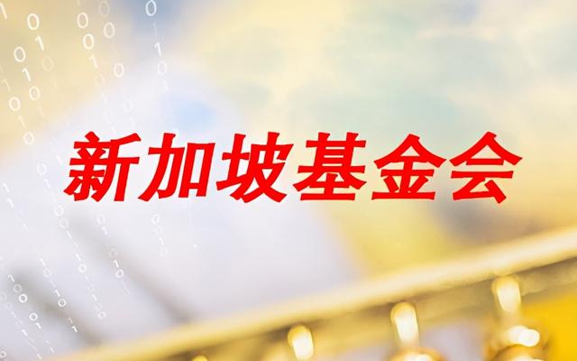 如何注册新加坡基金会做区块链项目