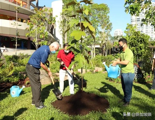 东海岸超好玩的水上公园开幕了！第一天开幕就挤爆了