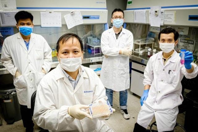 科学家创造出针对与自身免疫性疾病有关的酶化合物