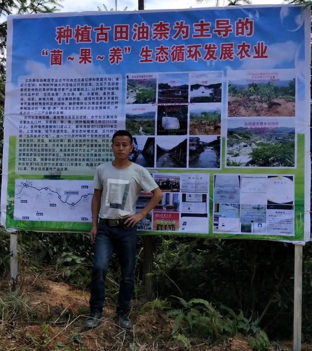 古田北垱油柰丰产栽培技术及缺铁性黄化的诊断和治理
