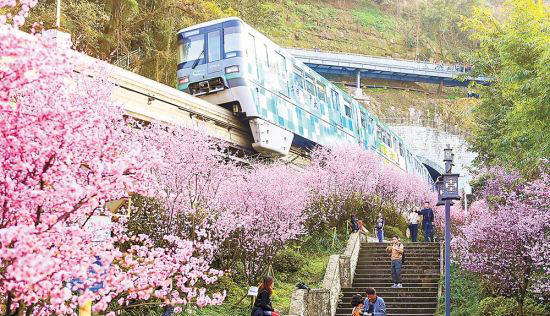 从十八梯到18T 重庆又多一个世界级打卡地