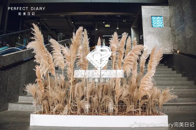 完美日记发布上市后首份财报，“大牌平替”还需爆品“撑腰”