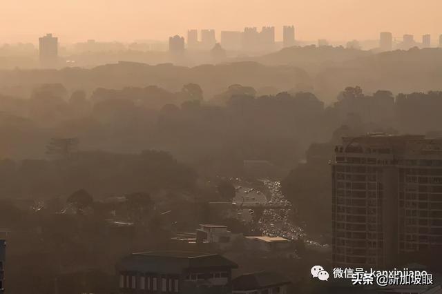 新加坡空气质量破百点，进入“不健康”水平！烟霾3月就来袭？