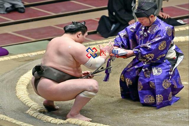 日本相扑选手因伤休赛 医师建议最佳治疗方式干细胞移植