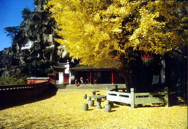建德大慈岩景区：看完千年银杏树，吃块新叶水米糕
