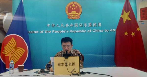 中国—东盟对话关系30周年智库论坛：专家学者共同聚焦可持续发展合作