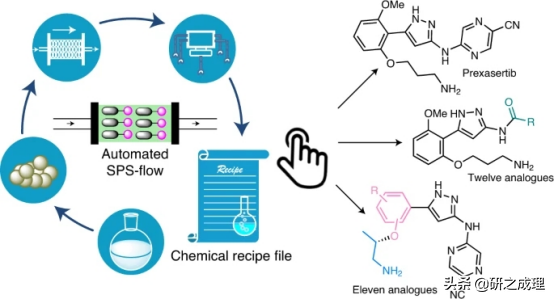 新加坡国立大学吴杰最新Nature Chemistry