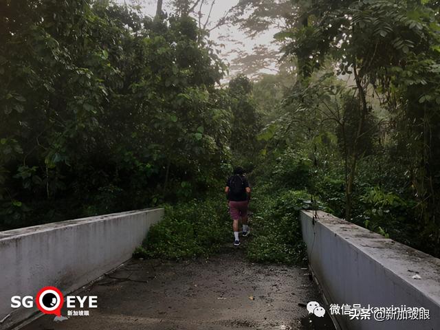 历尽百年沧桑，世纪铁道终成网红胜地