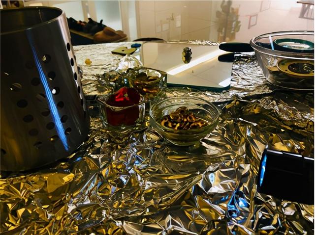伊顿课程｜假如地球失去光会怎样？