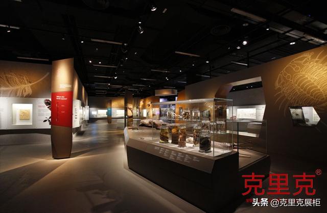 自然历史博物馆展柜定制-新加坡李光前自然历史博物馆