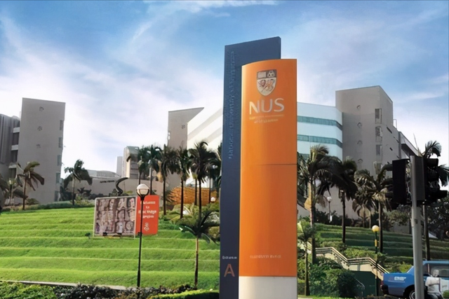 新加坡国立大学能源与环境化学硕士录取案例分析