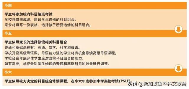 新加坡留学｜来新加坡读政府小学，这些内容一定要知道