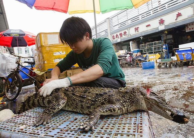 世卫组织报告后：寻找COVID来源的下一步是什么