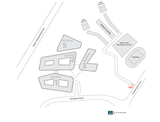 新加坡学生签证办理一般需要多长时间？