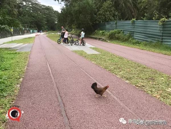 历尽百年沧桑，世纪铁道终成网红胜地