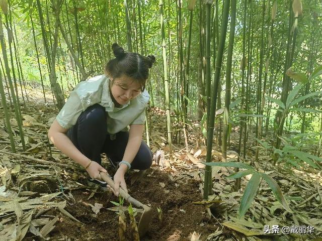 探寻艺术·回望灵魂-----记与陈鹏先生西双版纳写生