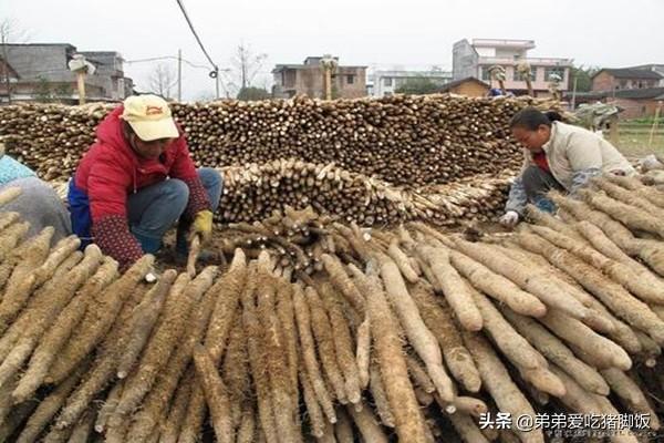 特产早知道——吴厝淮山