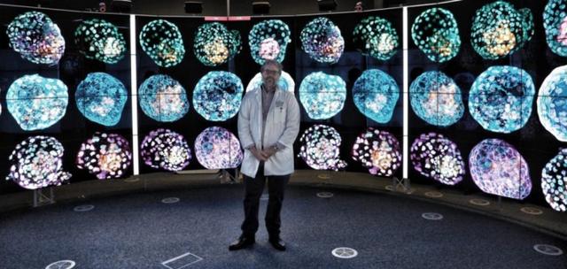 革命性研究：科学家从皮肤细胞中创造出首个早期人类胚胎模型