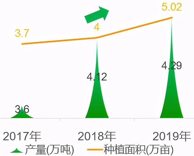 简析云南省菠萝产业：种植面积、产量、市场需求以及外贸数据等