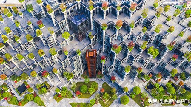 上海的新晋网红建筑“天安·千树”建成，目前来参观的人络绎不绝