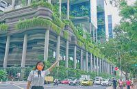 旅行日志|新加坡宝藏酒店