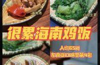 新加坡料理|很累海南鸡饭