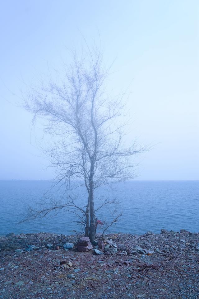 随鸟飘向彼岸