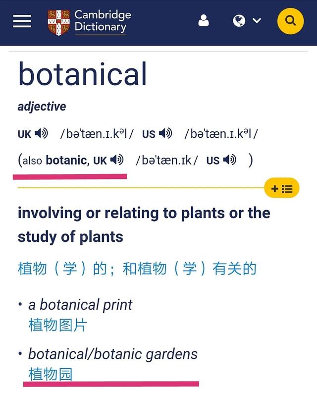 植物园踏青，你说得出多少种花的英文名？