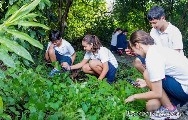 新加坡留学｜耗资4亿，新加坡最大的国际学校即将升级