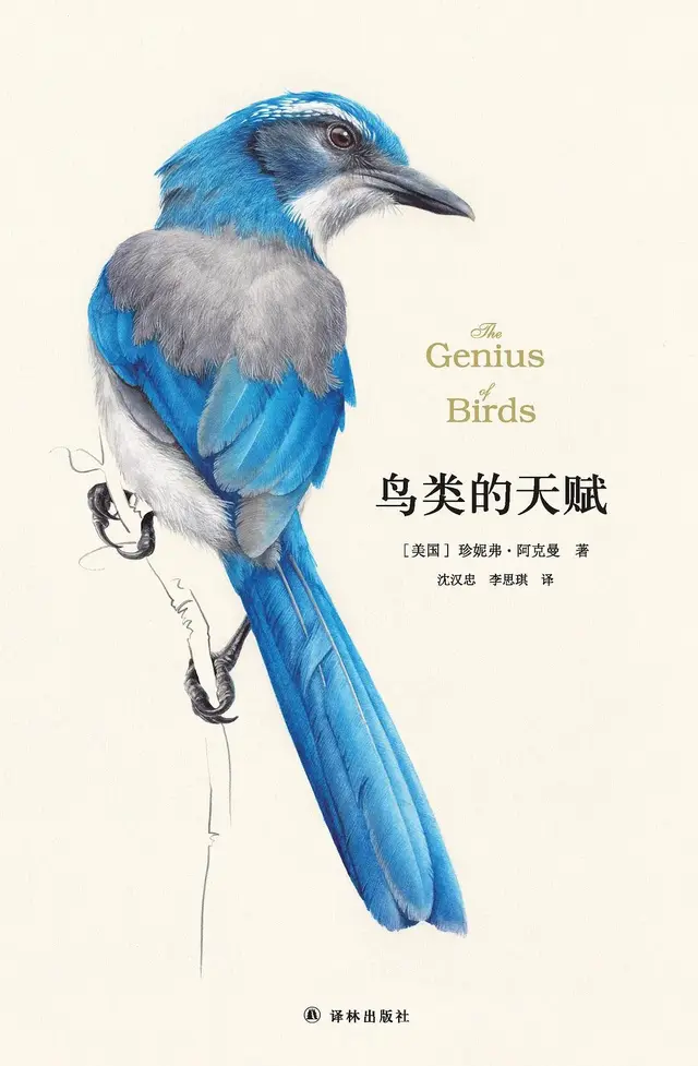 鸟类的小脑瓜有多聪明？