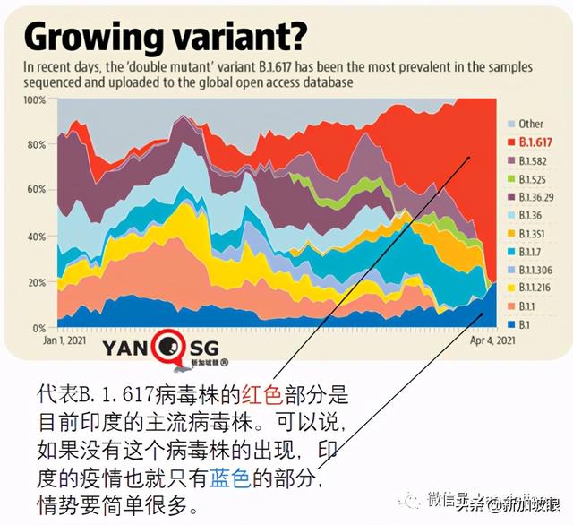 新加坡无限期限制印度旅客入境！过境也不行