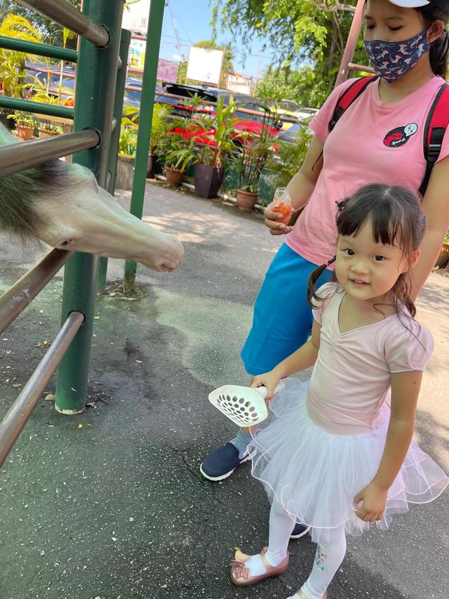 新加坡带娃如何过五一