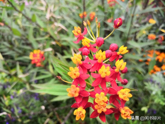 为什么说要这样取标题：给视频取标题的24个技巧