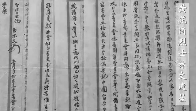 同古堂 | 碧血黄花：记念林大将军