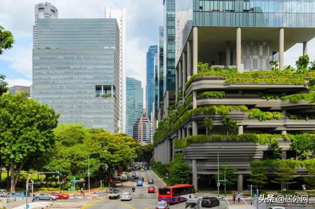 新加坡将城市“搬”进花园，升级打造“花园中的城市”