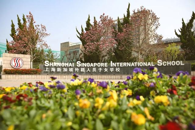 开进新加坡国际学校的美式夏令营！就在上海，5-15岁全有