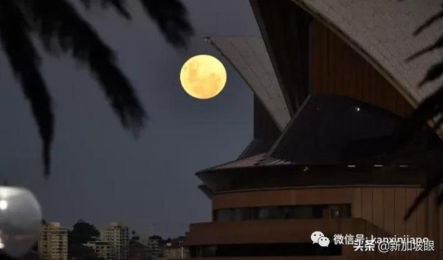 “超级血月”现身新加坡夜空，高清大图请查收